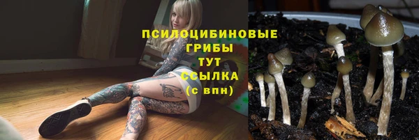 винт Мегион