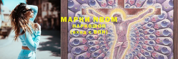 сатива Бронницы