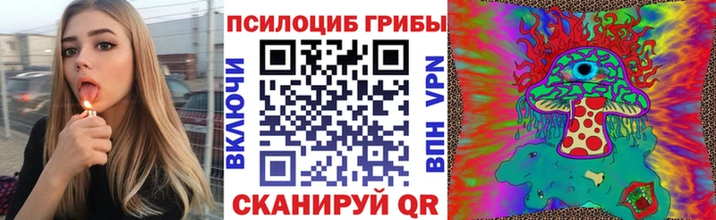 как найти наркотики  Вилюйск  Псилоцибиновые грибы MAGIC MUSHROOMS 